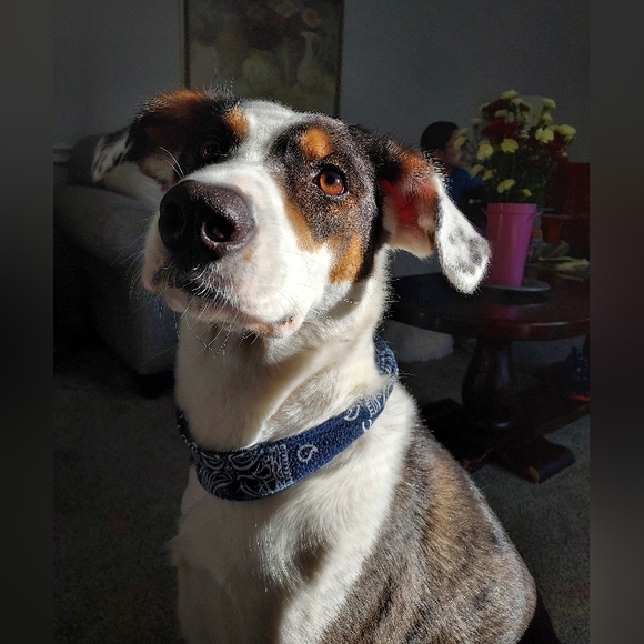 Meet your Posher, John - Picture 1 of 1